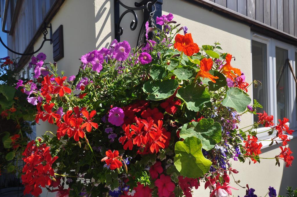 The Bosham B&B Exterior photo